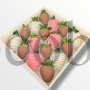  Яркие чувства 16 ягод